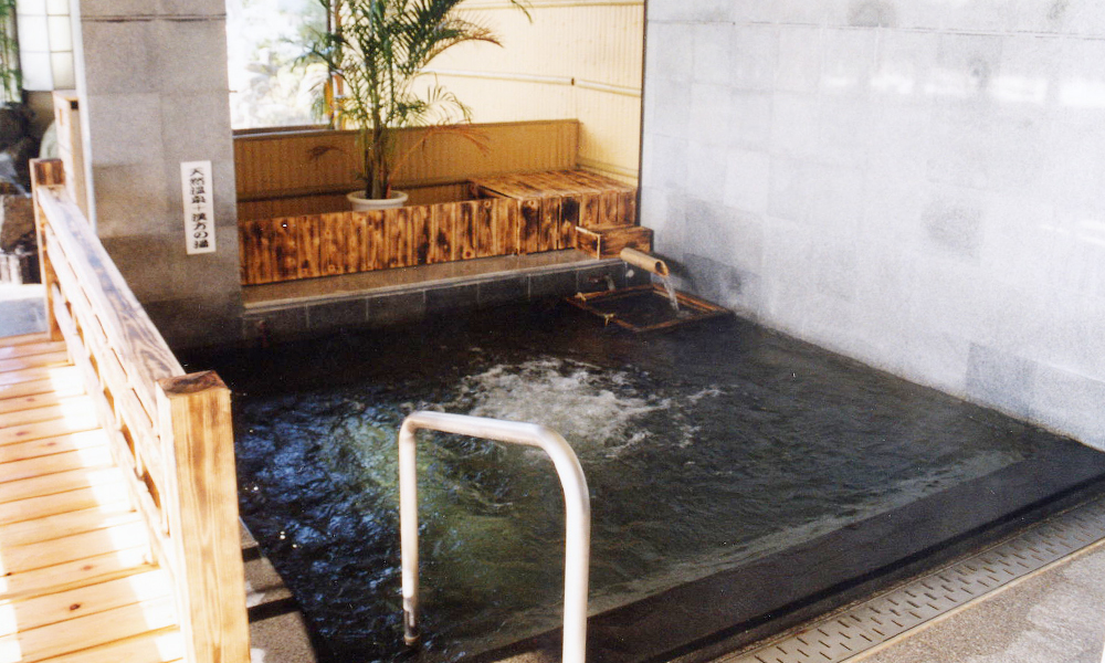 【日帰り】薬石風呂と5種の天然温泉【ペア】
